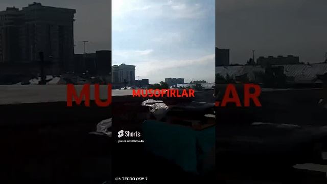 15 августа 2024 г. смотреть онлайн