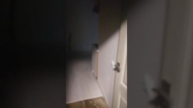 Проходчиков 17 смотреть онлайн