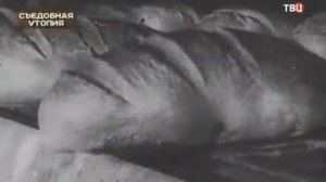 Хроники московского быта (Съедобная утопия)