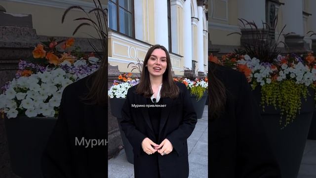 Квартира в Мурине или Кудрове? (читайте описание) смотреть онлайн