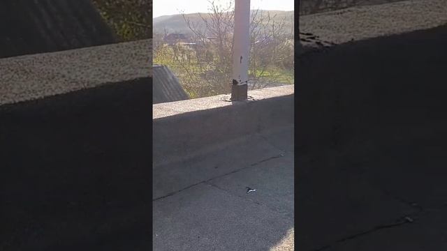 Устройство плоской кровли в станице Азовская