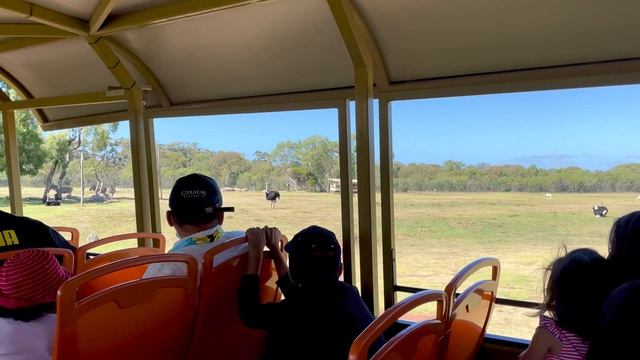 Wildlife Safari At Warribee Open Range Zoo