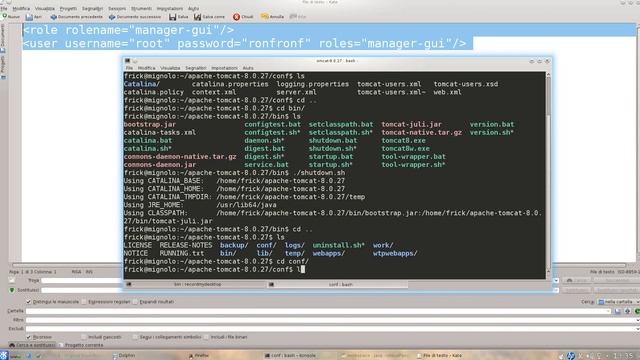 Login Tomcat in Linux смотреть онлайн