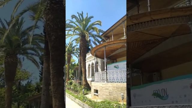 Дендрарий Сочи 2022 г. смотреть онлайн