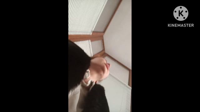 Позорный пофигизм ФССП. Прохладный. КБР смотреть онлайн
