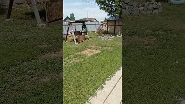 жилье в городе яровое 2024 смотреть онлайн