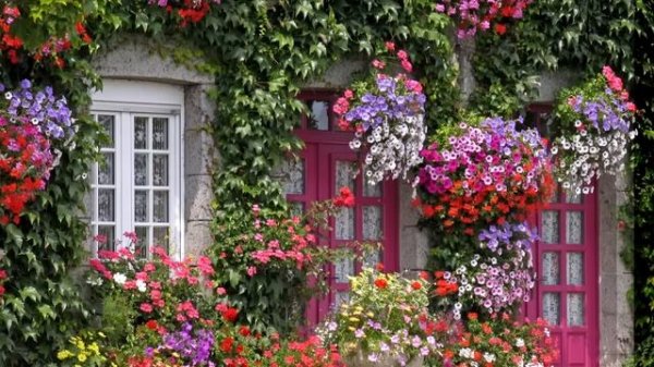 -Продайте свою квартиру! А деньги отдайте мне!-заявила свекровь. Я подумала -она с дуба упала. Но..