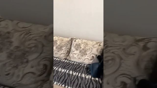 Объект № 115288 Сдам 1 комн. квартиру ул. Бородинская 9 Звоните, пишите watsap 8-965-666-6444 Серге смотреть онлайн