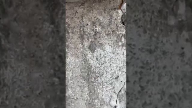 Жители боятся обрушения дома по адресу Комсомольск на Амуре ул. Пионерская 72 16 февраля 2024 г. смотреть онлайн