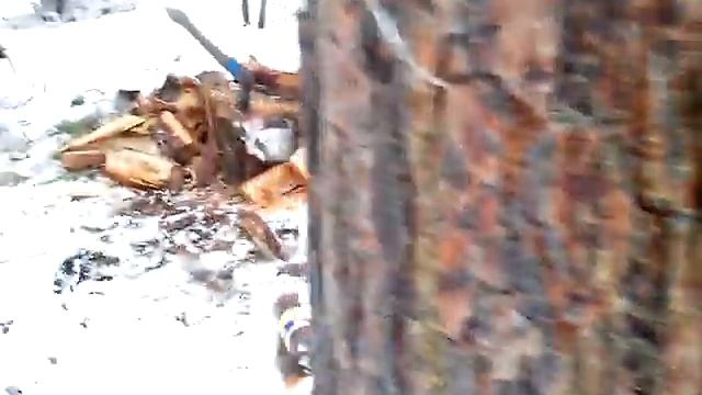 7 дней в сибирской тайге смотреть онлайн