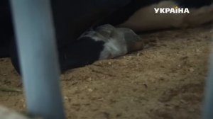 ОБАЛДЕННЫЙ ФИЛЬМ ПЕРЕВОРОТИЛ ВЕСЬ МИР! ЖИВАЯ ВОДА Мелодрамы новинки фильмы