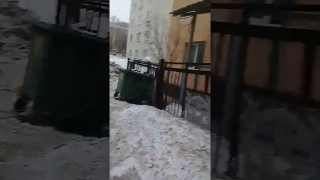 В Уфе помойка превратилась в зловонную лужу смотреть онлайн