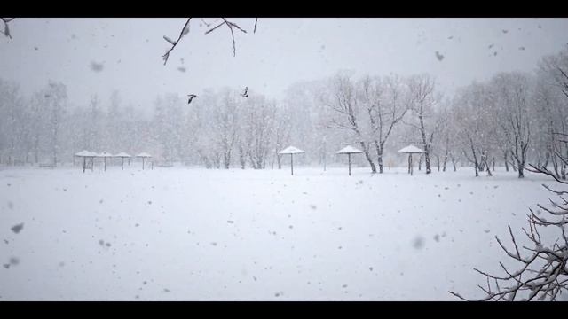 Winter's Tale Reutov April 2, 2021 4K video смотреть онлайн