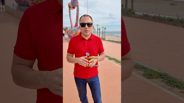 Почему выбирают частные школы Испании? #внж #испания #море #сколькостоит #солнце #крипта #инвестици