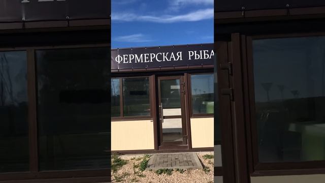 Торговый павильон 5х3,7м | Kiosknew.ru - строим торговые сооружения на заказ смотреть онлайн