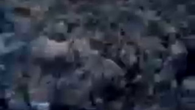 Спалились... смотреть онлайн