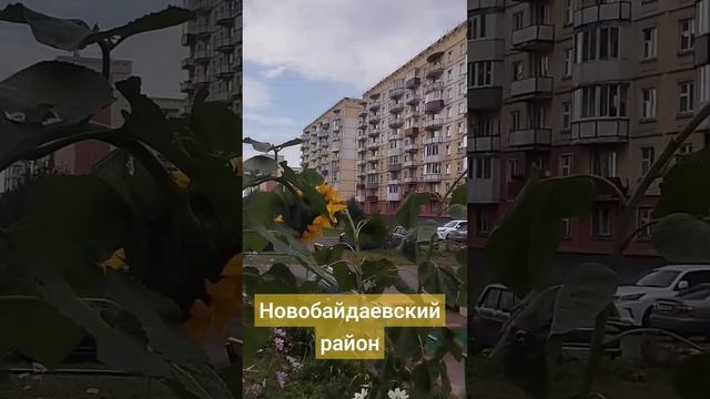 #новокузнецк #новобайдаевка смотреть онлайн