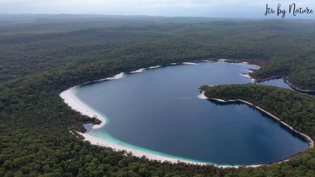4WD ADVENTURE(LAND CRUISER) FRASER ISLAND,AUSTRALIA смотреть онлайн