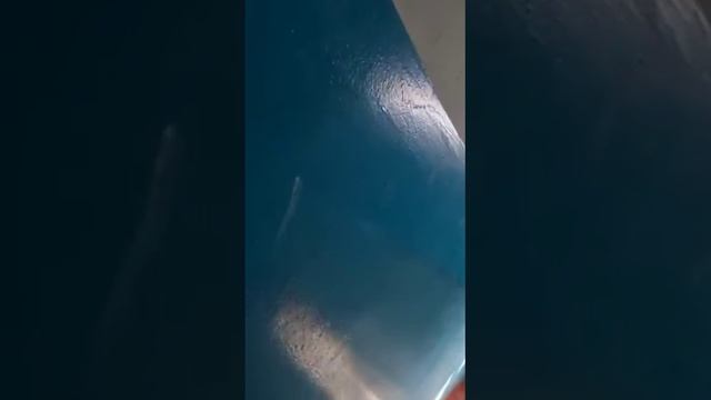 Барнаул, ул. Попова, 194 осмотр квартиры смотреть онлайн