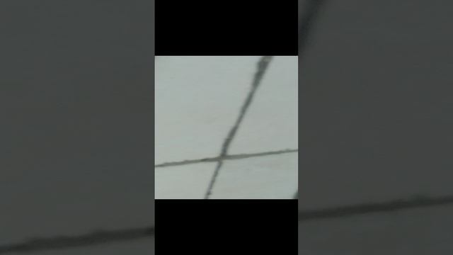 Птичка была точно! смотреть онлайн