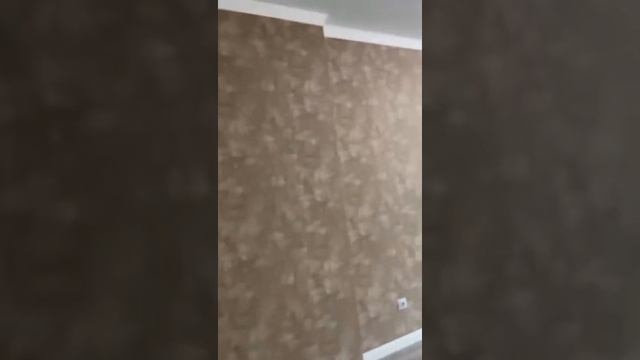 Трёхкомнатная Квартира в центре города Казани смотреть онлайн