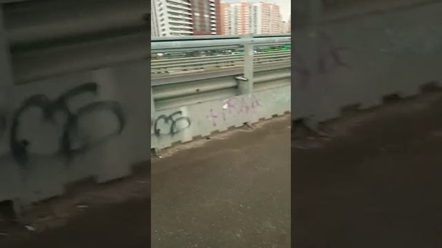 безумная пробка на Ленинградском шоссе смотреть онлайн