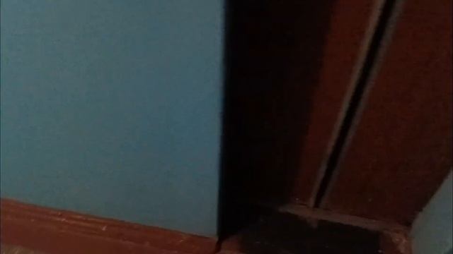 Лифт старше дома на 13 лет! Лифт(МЛЗ 1988 г.в) Свободы 86 подъезд 1,г.Тюмень. смотреть онлайн