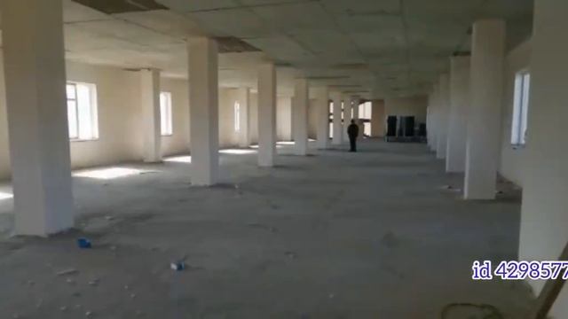 42985775 смотреть онлайн