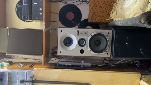 TECHNICS SU-V7 акустика TECHNICS SB-X3