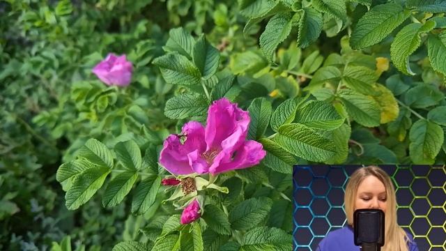 - Ну что, ты хотела развод? Получай! Но ты лишена всех прав - Маша застыла в суде от слов мужа... смотреть онлайн