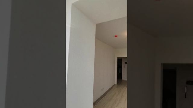 1 комн. 42 м2 Scandis смотреть онлайн