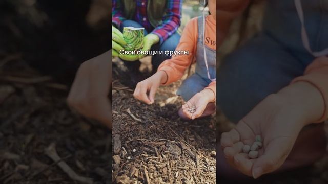 Зачем вы строите дом? #стройка #загороднаяжизнь #дизайнинтерьера #дачи #квартира #свойдом смотреть онлайн