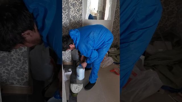 Дезинсекция тараканов и клопов смотреть онлайн