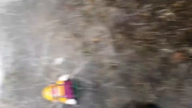 Movie Maker Project (2).mp4 смотреть онлайн