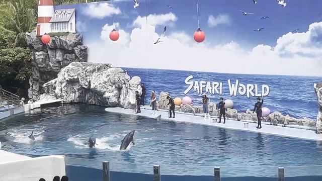 Dolphin Show Safari World Bangkok \\ Dolphin Show Bangkok \\ Safari World Show Bangkok ||