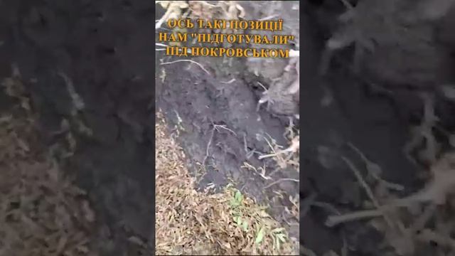 ⚡️СВО 18+ "Это для лилипутов?": ВСУ массово жалуются на "укрепления" в Покровске смотреть онлайн