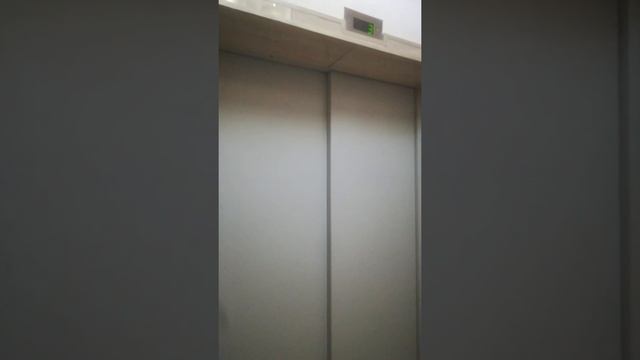 295-й Стрелковой Дивизии 17 кв 80 смотреть онлайн