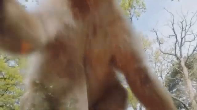 Safari Adventures at Woburn Safari Park