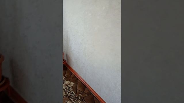 Квартира уютная,чистая 1000 рублей за сутки смотреть онлайн