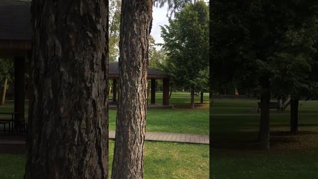 Goncharovskiy Park Москва, между ул. Руставели и ул. Гончарова смотреть онлайн