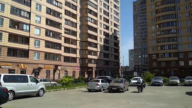 Богатырский 51 смотреть онлайн