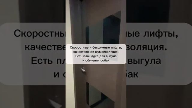 Квартира в Обнинске с ремонтом #недвижимость #обнинск #купитьквартиру #буднириелтора #продажакварти смотреть онлайн