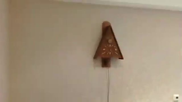 Показ квартиры на Ржевке смотреть онлайн