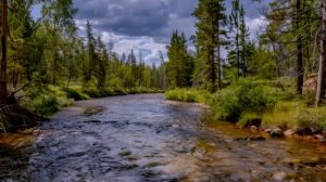 Полицейские были в шоке когда мать 14-летнего Максима выгораживала отчима. А через мгновение...