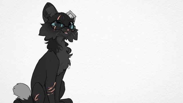 реакция на разноглазку @Разноглазка_КВ сью или норм кв-шник? смотреть онлайн