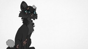 реакция на разноглазку @Разноглазка_КВ  сью или норм кв-шник?