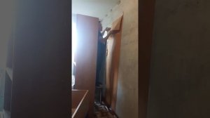 Ремонт 1ком квартира Демонтаж Обоев. Качество Гарантируем 🙂🙂😎