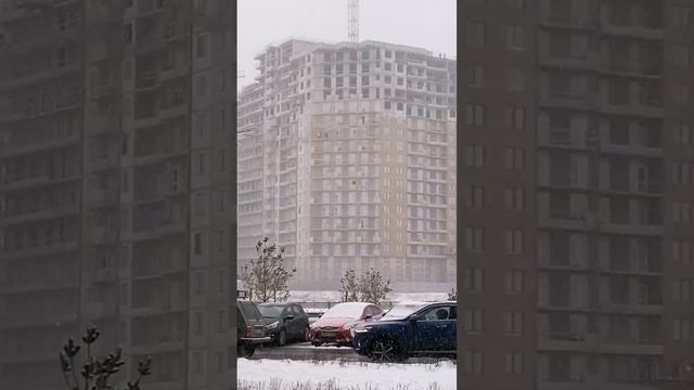 Огни Залива ЖК смотреть онлайн
