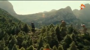 САМЫЕ ШОКИРУЮЩИЕ ГИПОТЕЗЫ { 15.06.2021 }