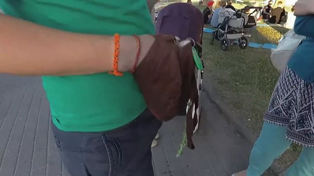 Сидячая Харинама на Немиге 31 мая 2018. смотреть онлайн